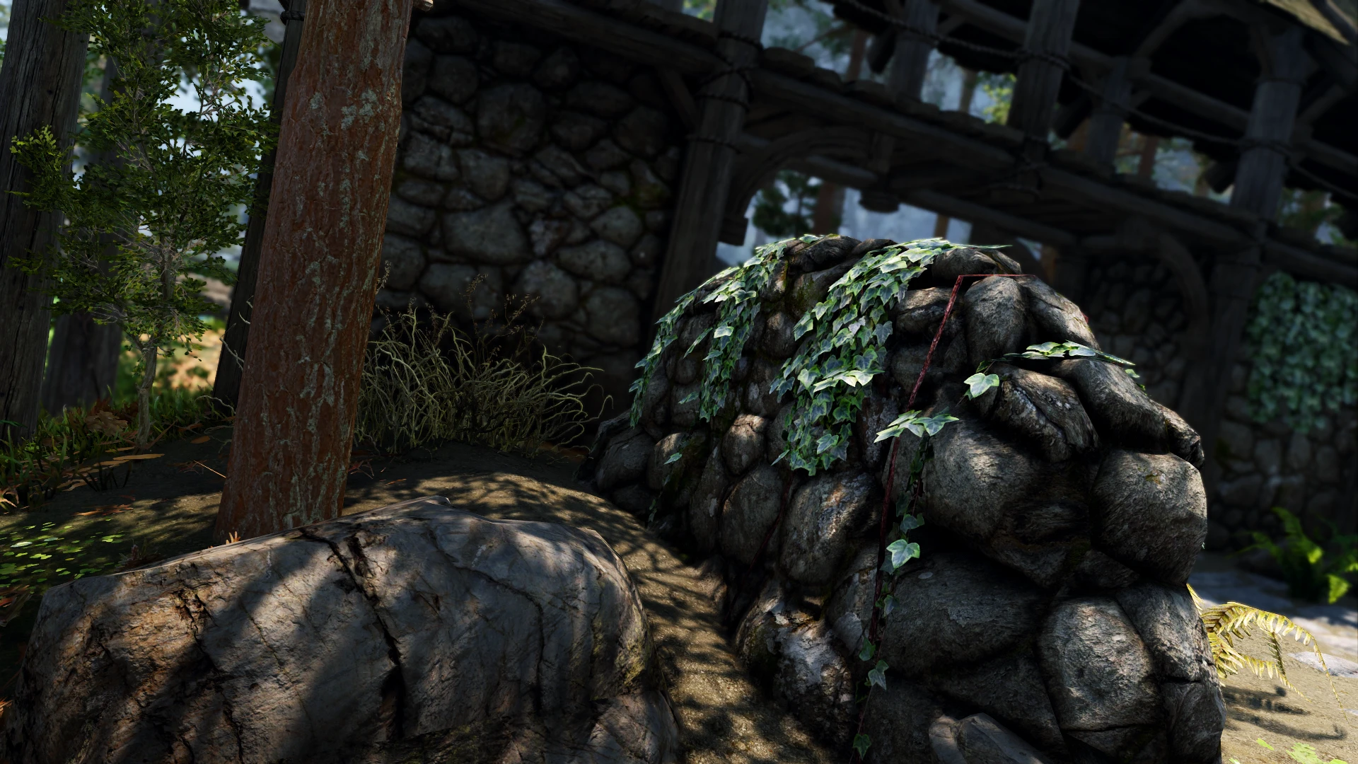 Mara & Dibella ENB
